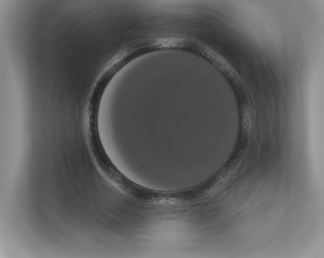 X0000111020730200907310931