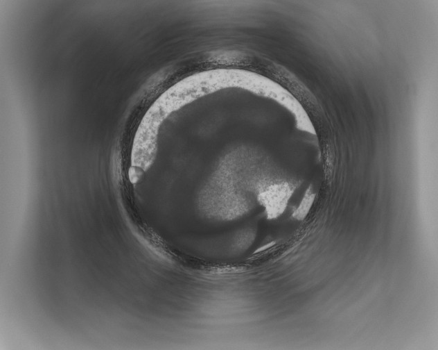 X0000111020734200907310931