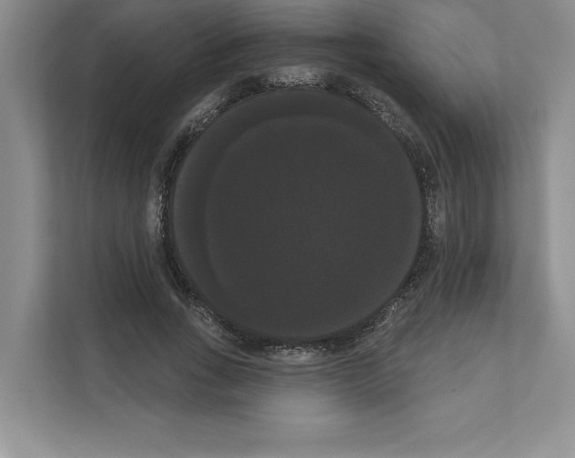X0000111020735200907310931