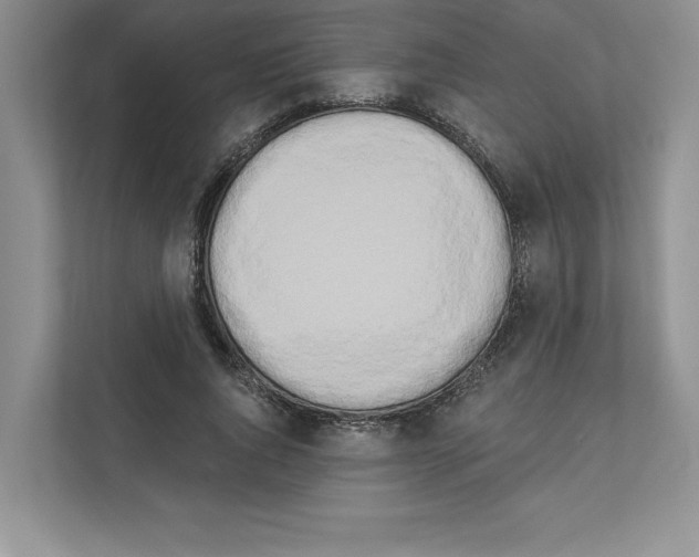 X0000111020736200907310931