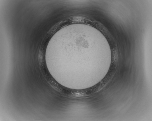 X0000111020737200907310931