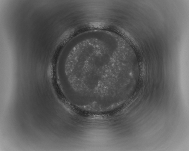 X0000111020738200907310931