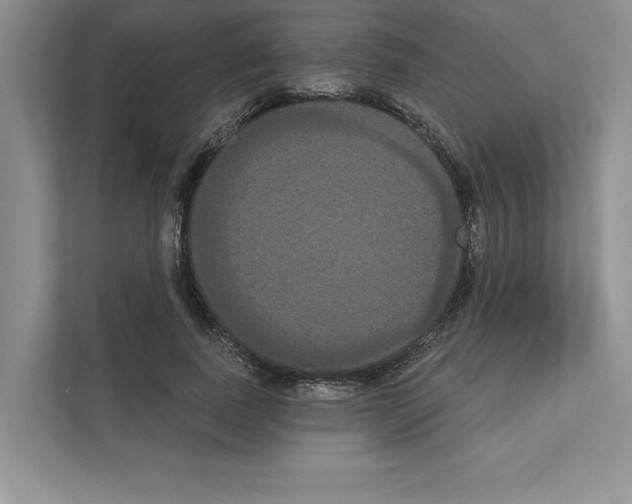 X0000111020739200907310931