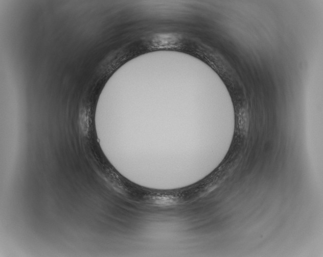X0000111020741200907310931