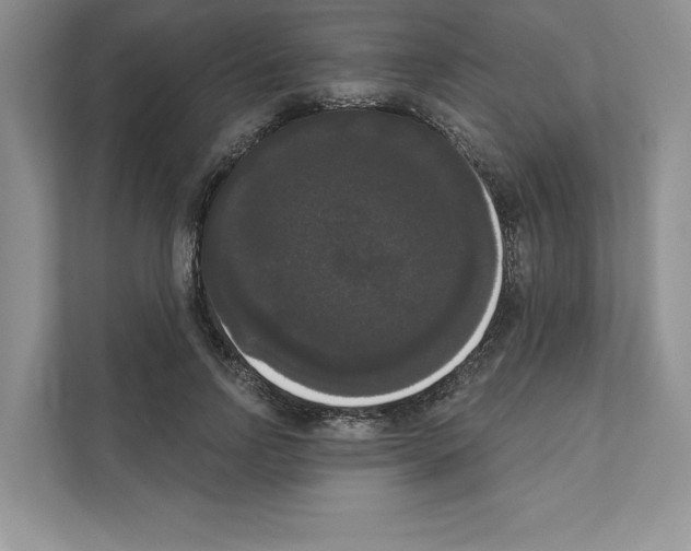 X0000111020742200907310931