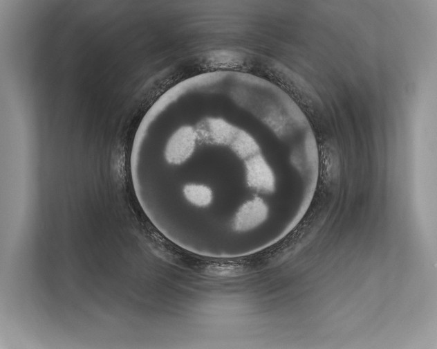 X0000111020745200907310931