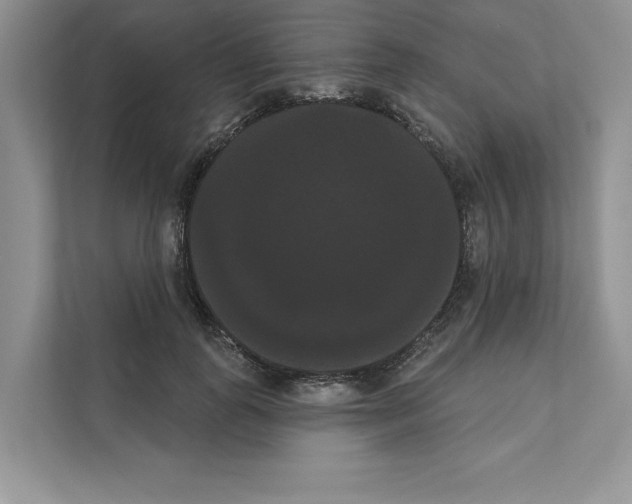 X0000111020747200907310931