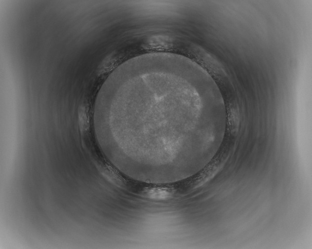 X0000111020751200907310931