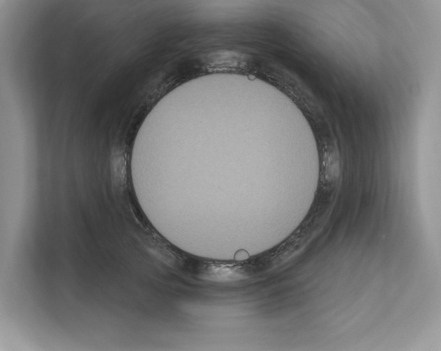 X0000111020753200907310931