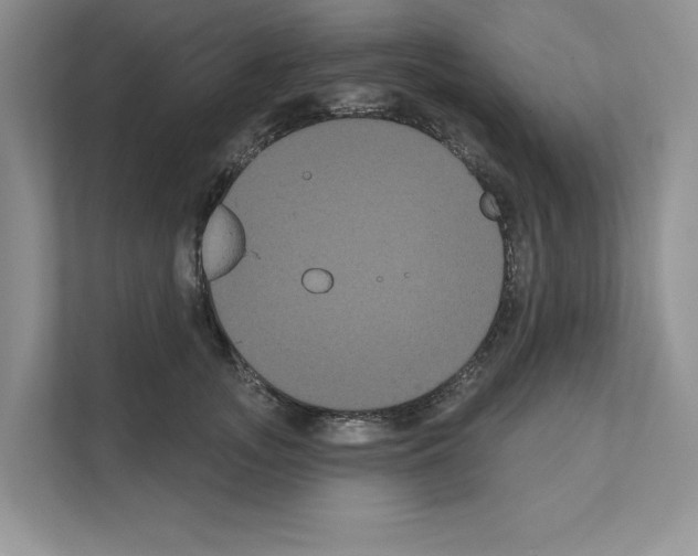 X0000111020755200907310931