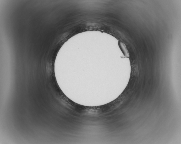 X0000111020756200907310931