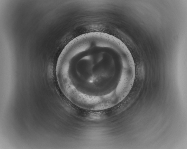 X0000111020757200907310931