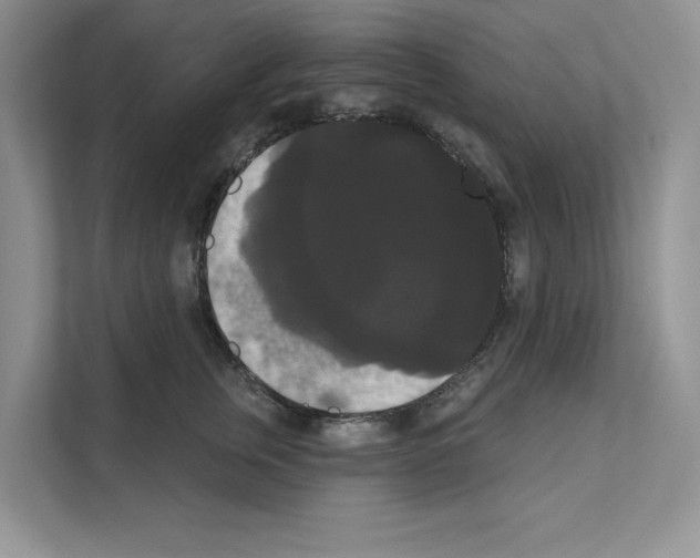 X0000111020759200907310931