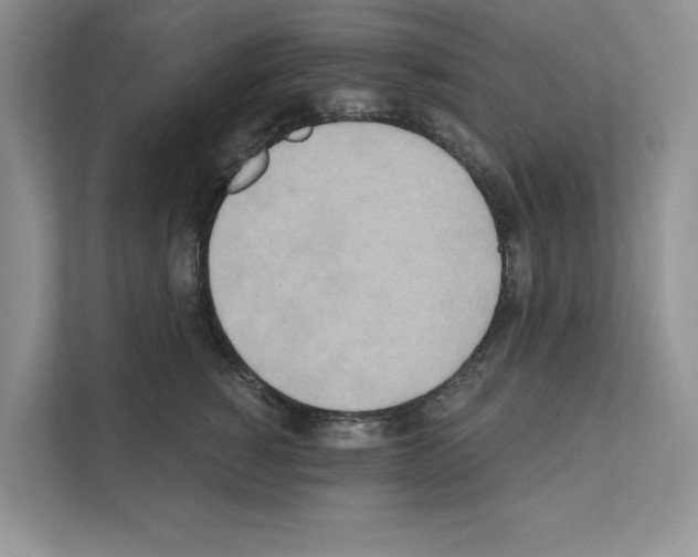 X0000111020760200907310931