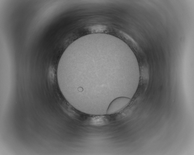 X0000111020761200907310931