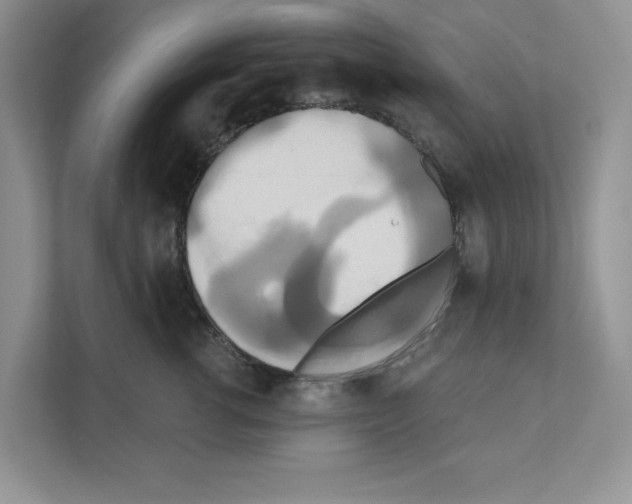X0000111020762200907310931