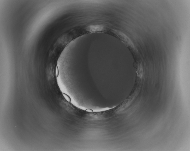 X0000111020763200907310931