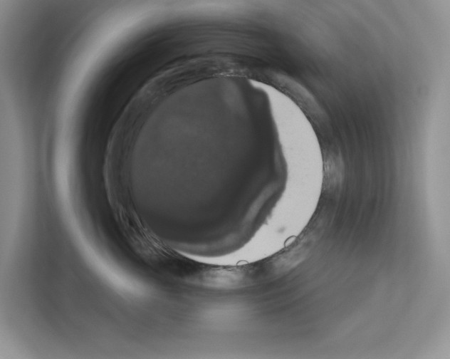 X0000111020765200907310932
