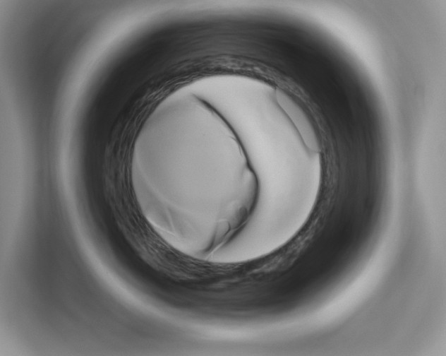 X0000111020766200907310932