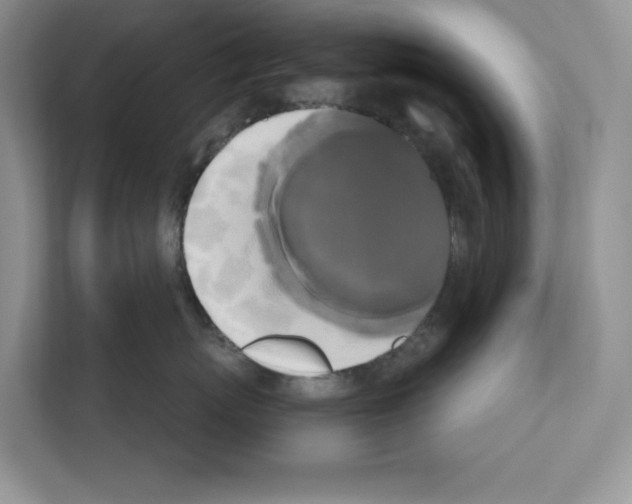 X0000111020767200907310932