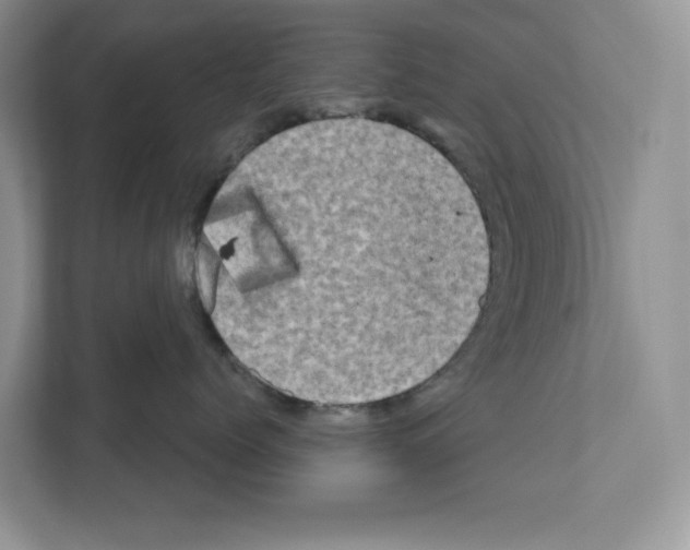 X0000111020768200907310932