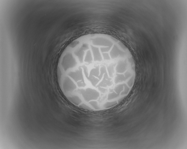 X0000111020769200907310931