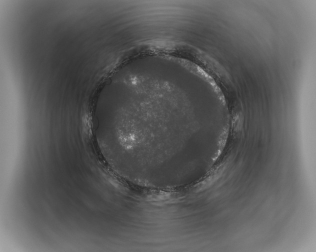 X0000111020772200907310931