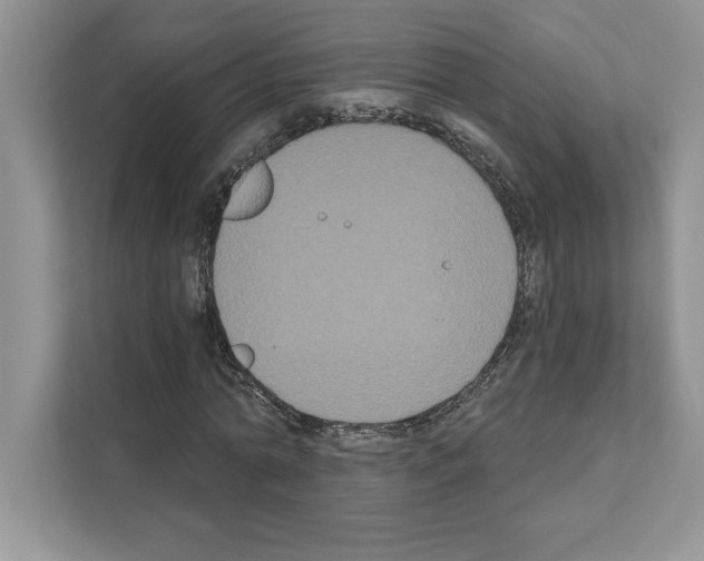 X0000111020774200907310931