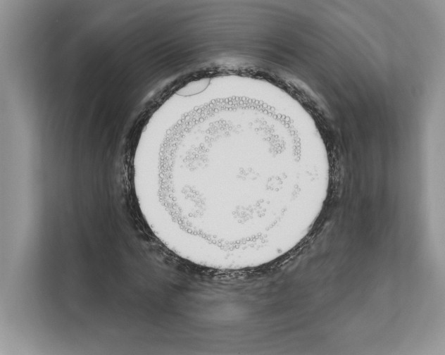 X0000111020776200907310931