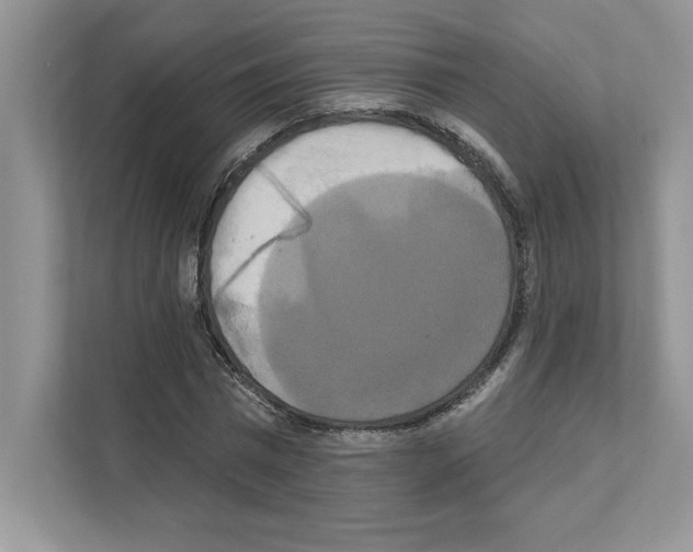 X0000111020777200907310931
