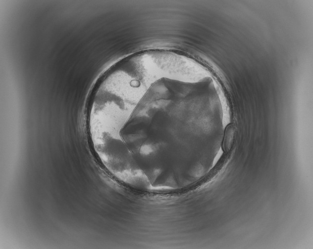 X0000111020779200907310931