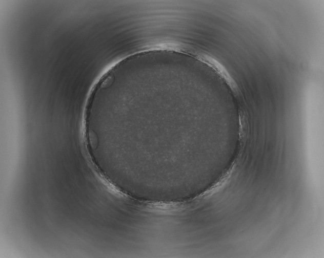 X0000111020780200907310931