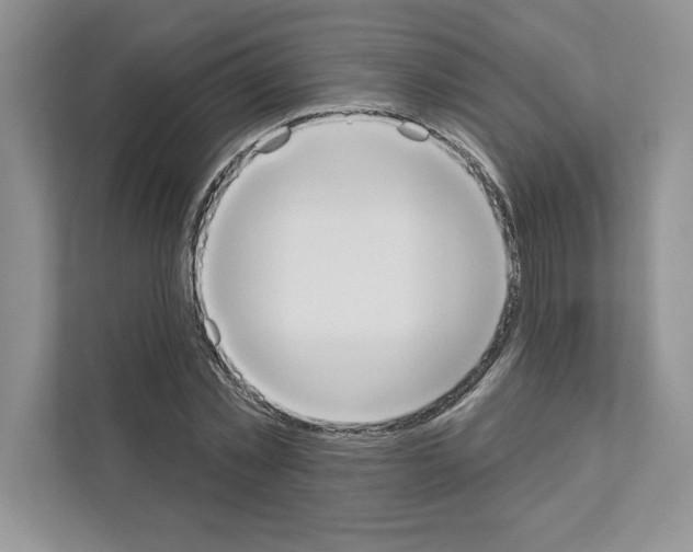 X0000111020781200907310931
