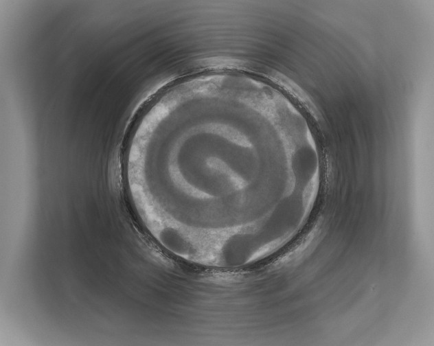 X0000111020782200907310931
