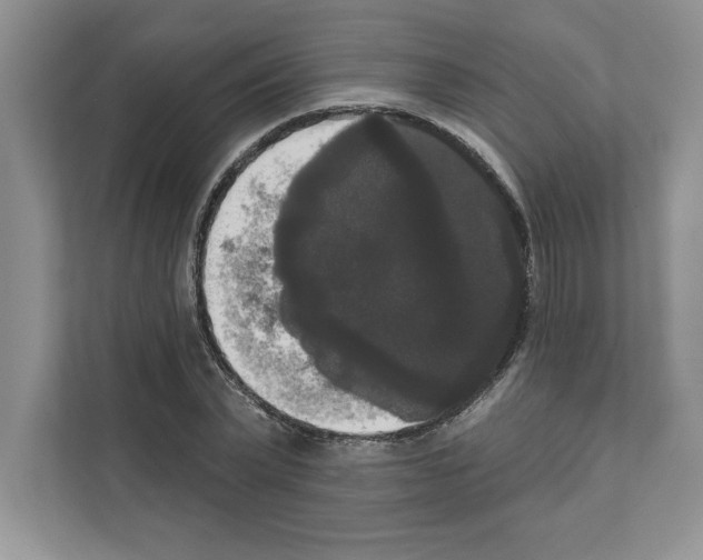 X0000111020783200907310931