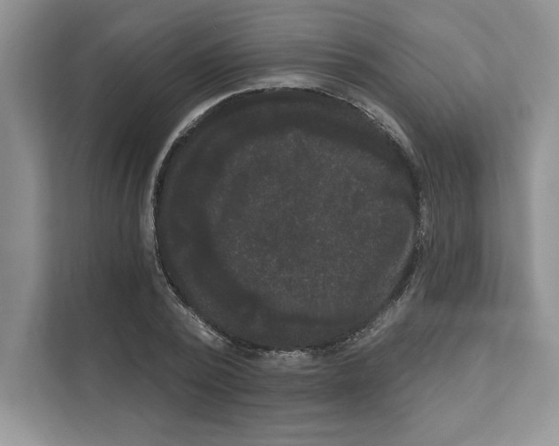 X0000111020784200907310931