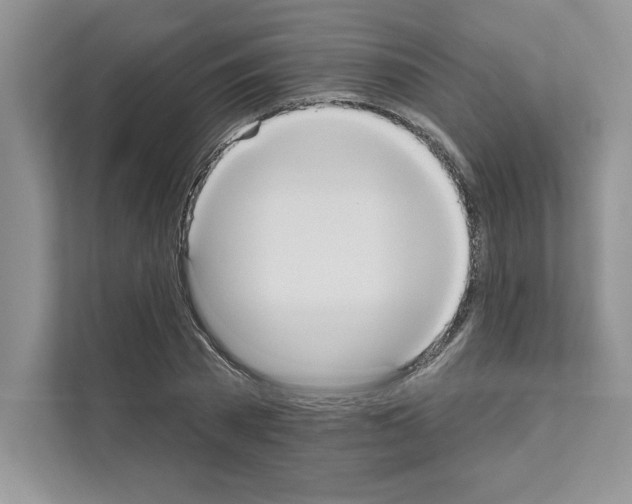 X0000111020785200907310931