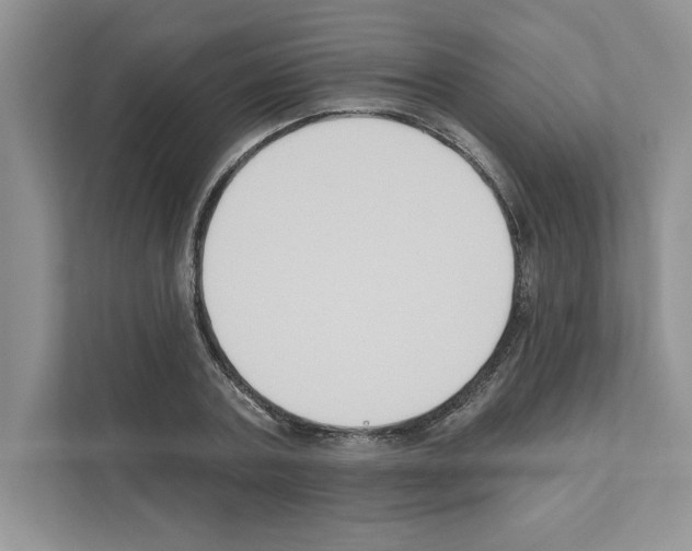 X0000111020787200907310931