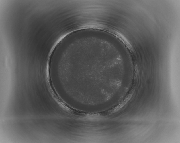 X0000111020788200907310931