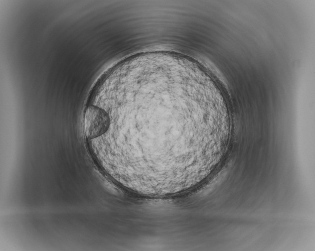 X0000111020789200907310931