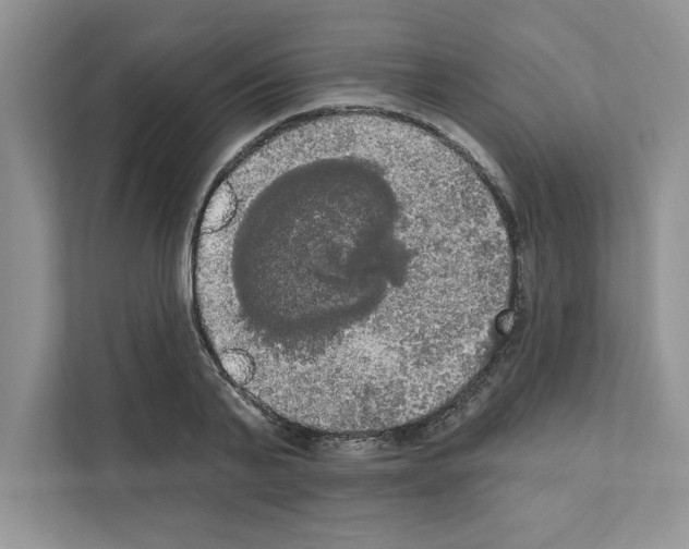 X0000111020791200907310931