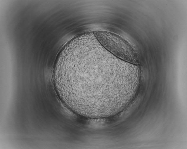 X0000111020793200907310931