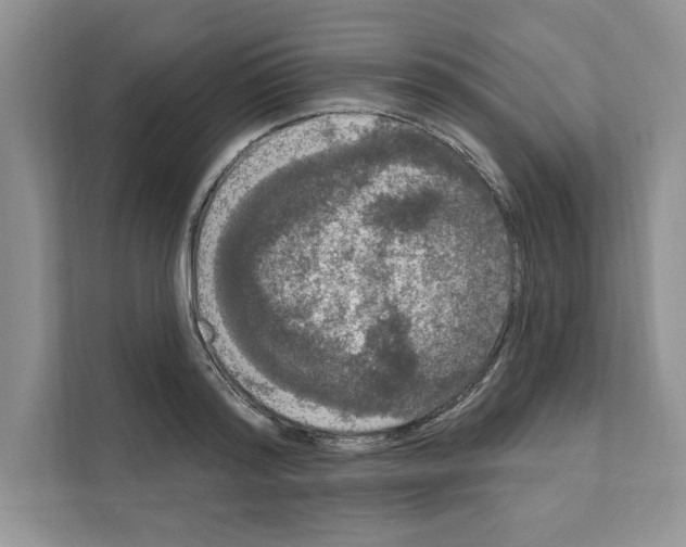 X0000111020796200907310931