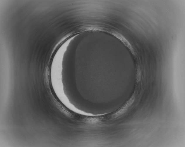 X0000111020798200907310931