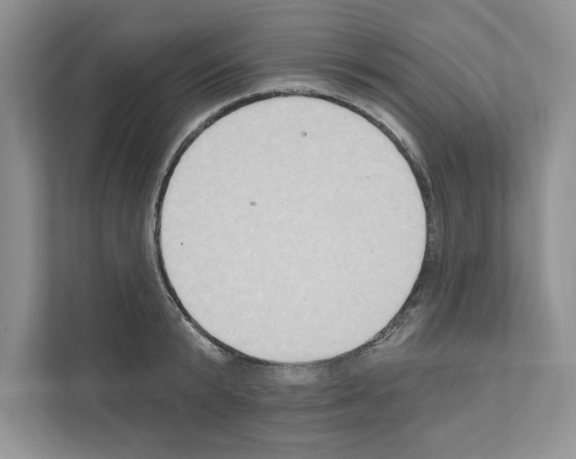X0000111020799200907310931