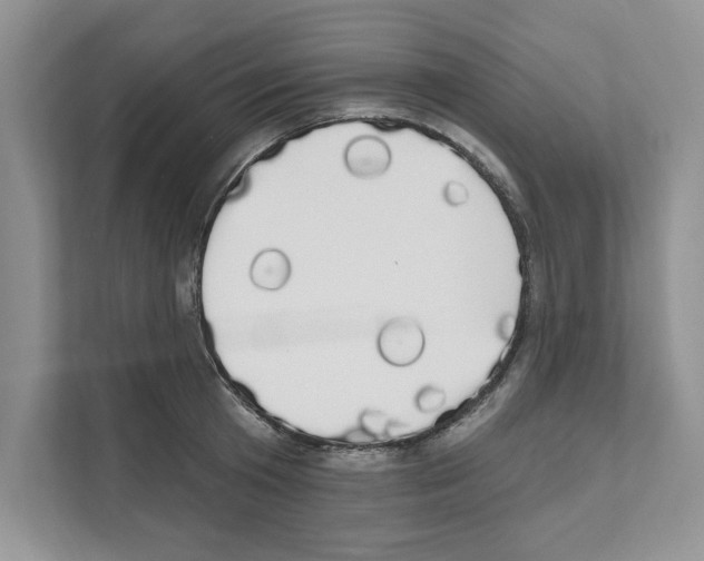 X0000111020801200907310931