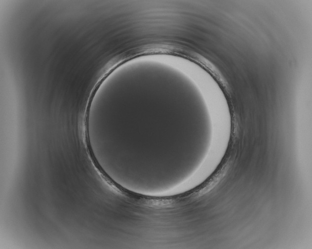 X0000111020802200907310930