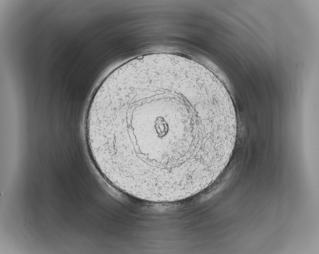 X0000111020803200907310930