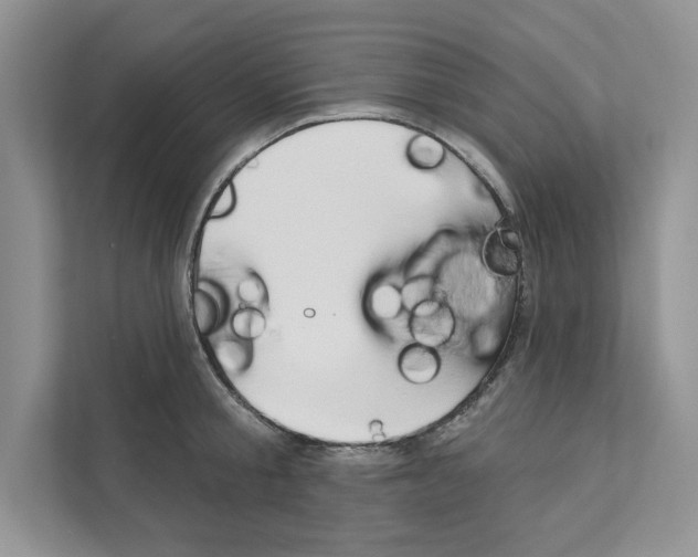 X0000111020805200907310930
