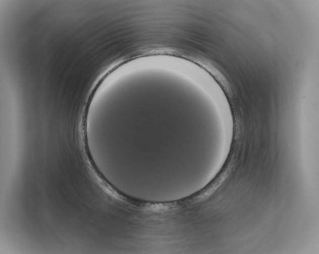 X0000111020806200907310930